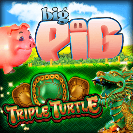 Big Pig