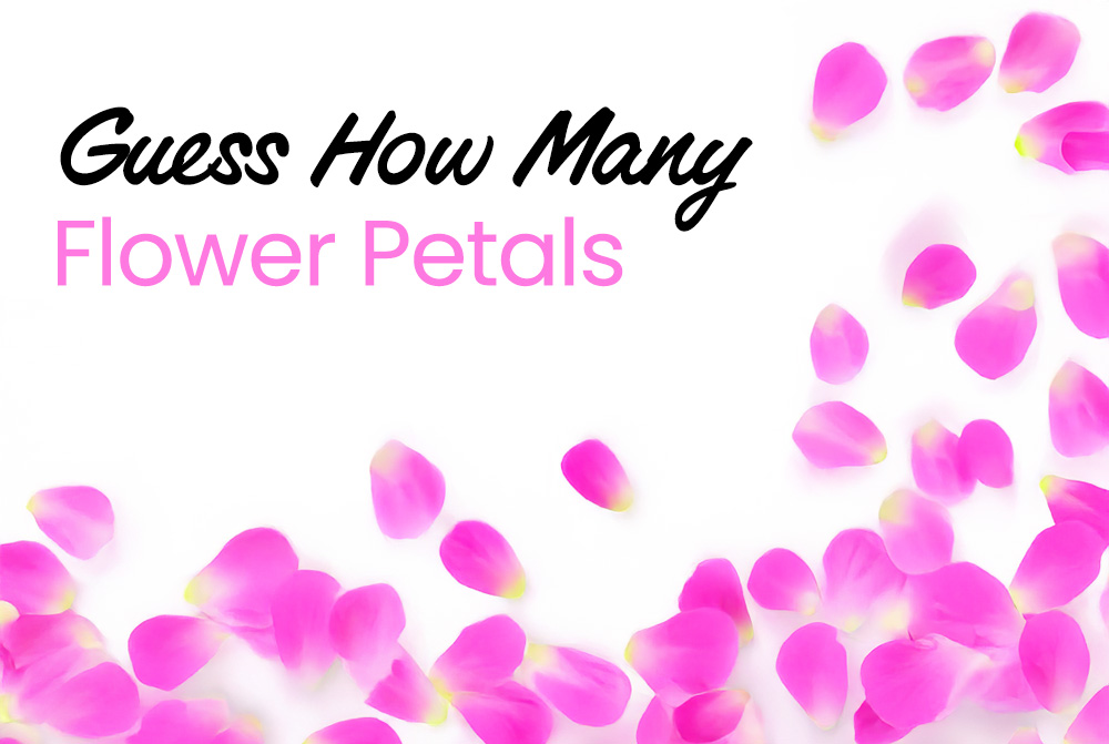 Guess How Many Flower Petals