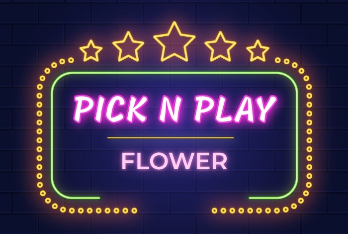 Pick N Play Flower