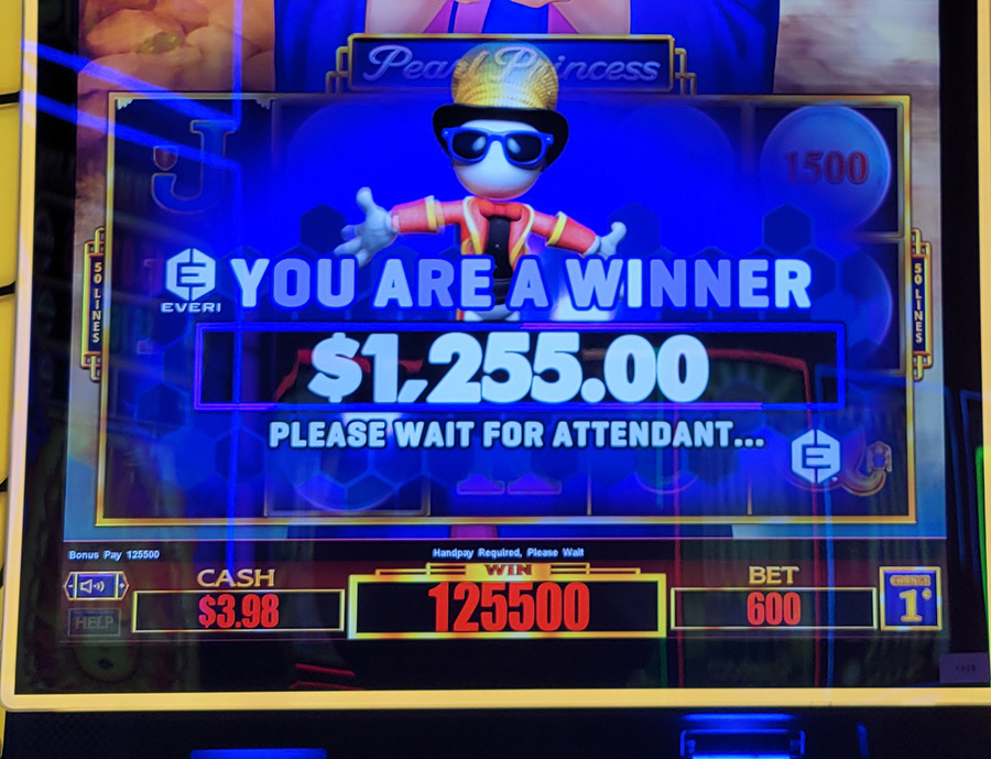 new winner 1255