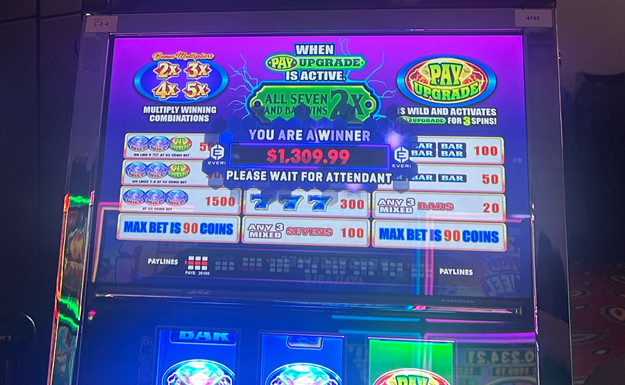 new winner 1309