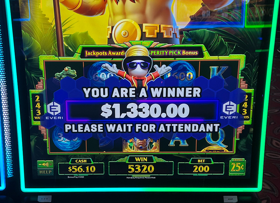 new winner 1330