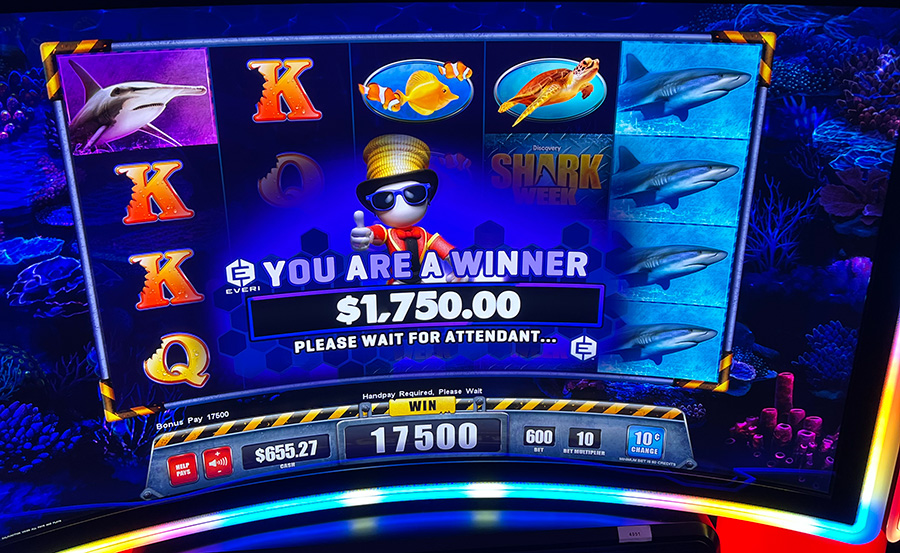 new winner 1750