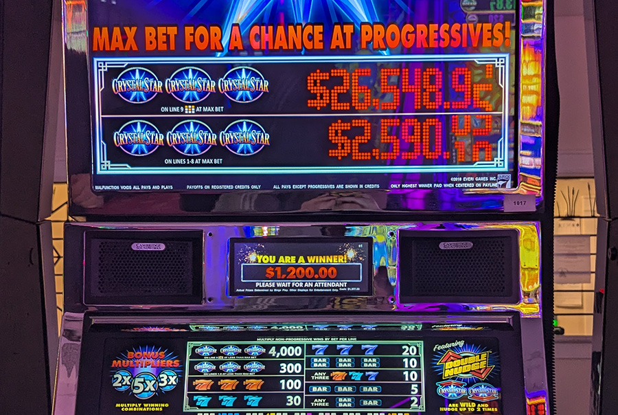 new winner 1200
